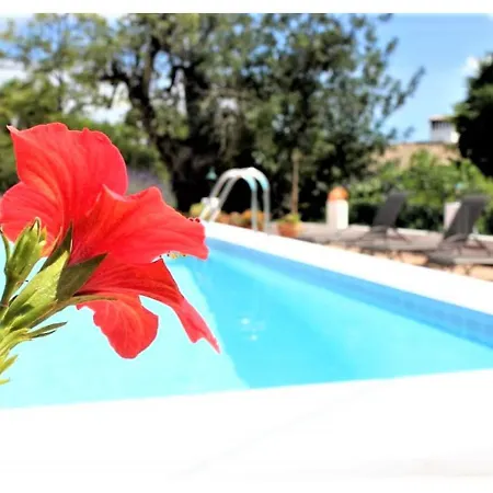 بيت للعطل Summer Algarve *
